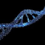 Genetics and Fibromyalgia