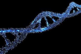 Genetics and Fibromyalgia