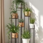 Plants Bring Fibro Comfort